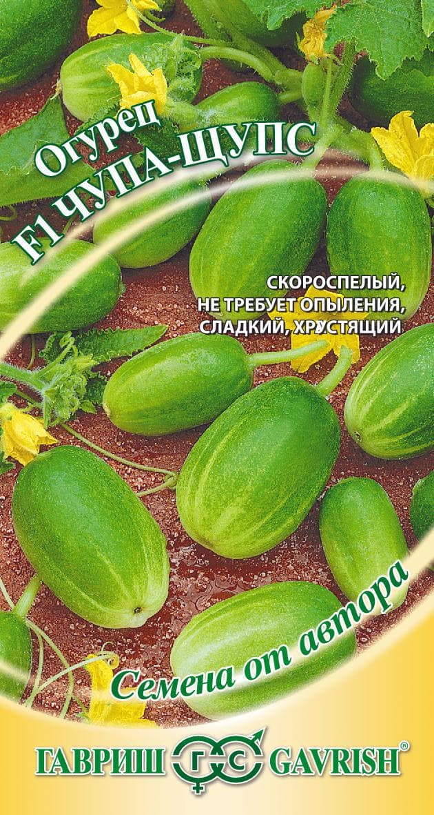 Огурец Чупа-Щупс F1 автор. фото