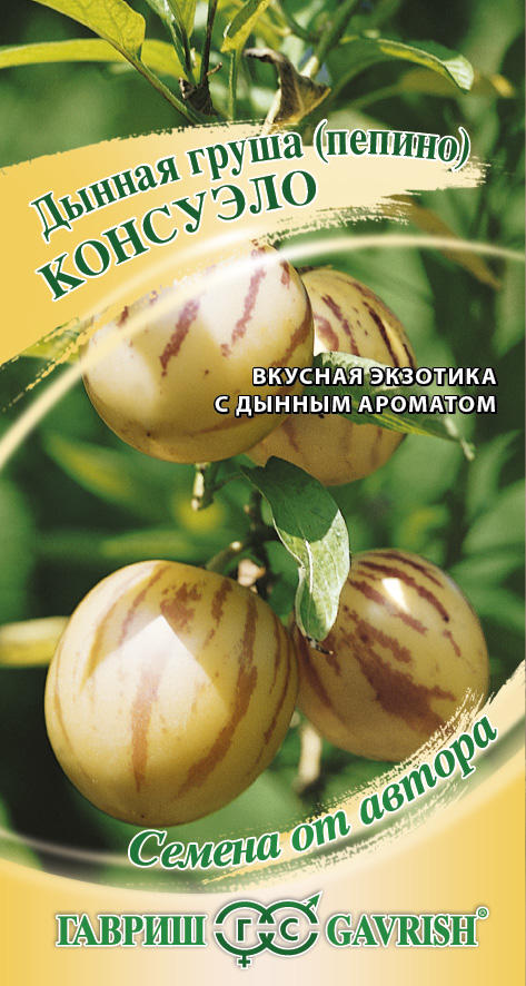 Пепино Консуэло 5 шт. автор. фото