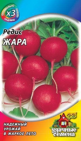 Редис Жара фото