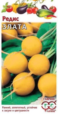 Редис Злата Редис Злата фото