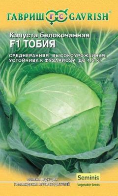 Капуста белокоч. Тобия F1 для квашения (Голландия) фото