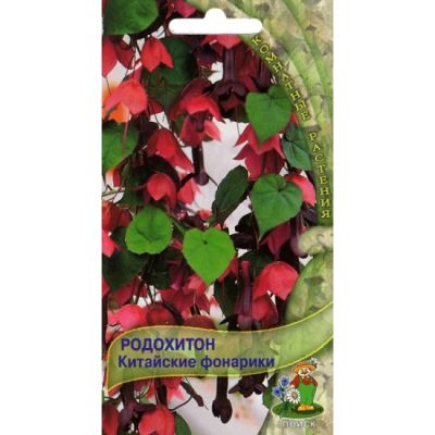 Родохитон Китайкие фонарики, 5шт. Родохитон Китайкие фонарики, 5шт. фото