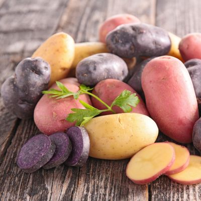 КАРТОФЕЛЬ САЛЮТ - Dolina-Sad.Ru