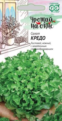 Салат Кредо, Урожай на окне Салат Кредо, Урожай на окне фото