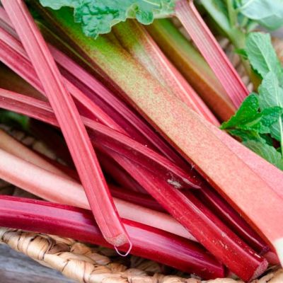 Ревень волнистый Стокбридж Эрроу Ревень волнистый Стокбридж Эрроу - Dolina-Sad.Ru