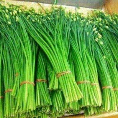 Лук Пикантный (душистый) Лук Пикантный (душистый) фото