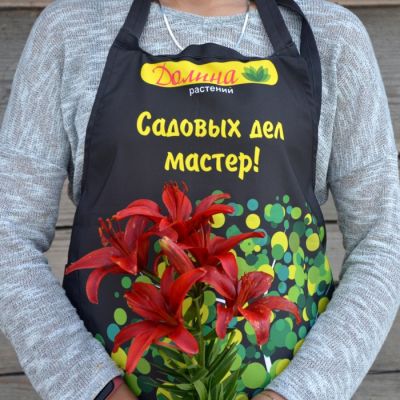 Лилия Ред Хайленд - Dolina-Sad.Ru